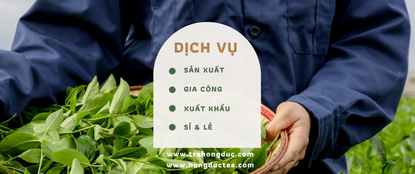 dich-vu