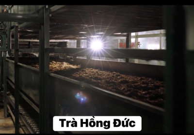 Oxy hóa trong trà đen là gì? Tốt hay xấu với sức khỏe?