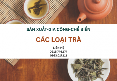 DỊCH VỤ GIA CÔNG TRÀ ĐỂ LÀM QUÀ TẶNG CHO  MÙA TRUNG THU